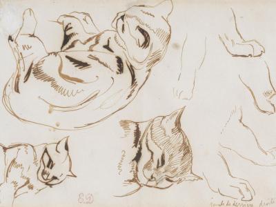 Eugène Delacroix (Charenton-Saint-Maurice, 1798 – Parigi, 1863), “Studi di gatti”. Roma, Galleria Paolo Antonacci.  
