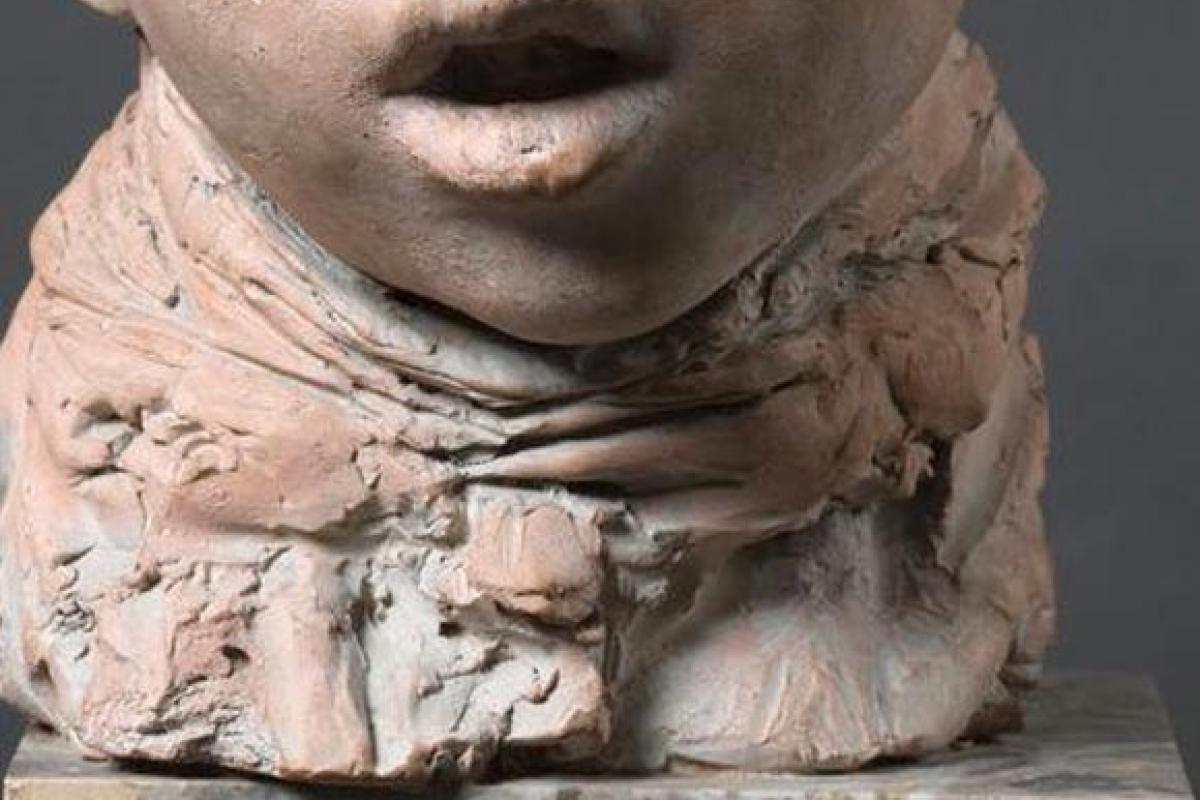Dispiaceri e svantaggi delle mostre (online)