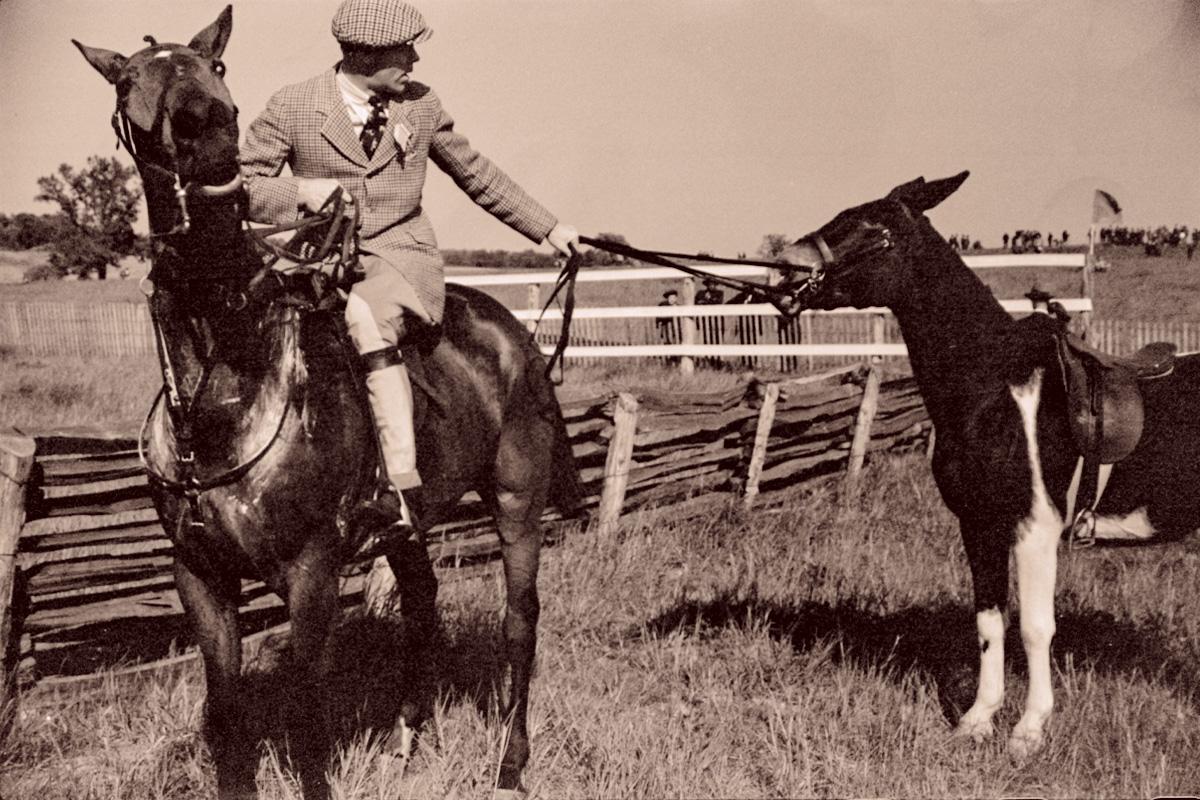 La scelta del cavallo giusto