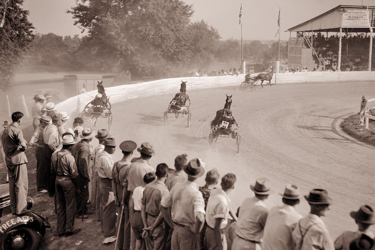 La scelta del cavallo giusto